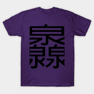 3 words in 1 word | spring 灥 T-Shirt